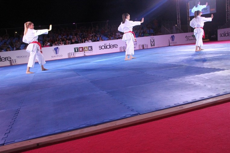 Martial Arts Festival
